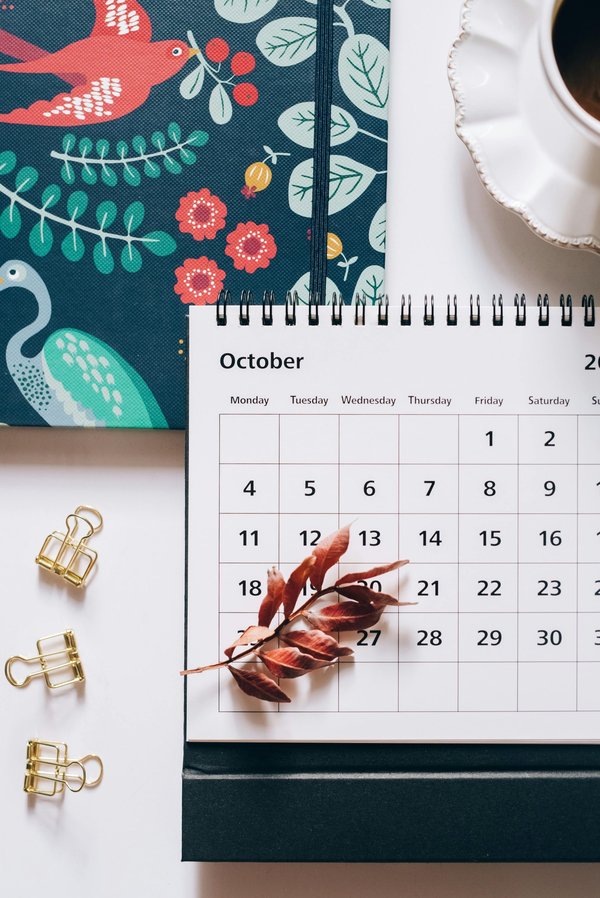 Précommandez le calendrier Harry Potter 2025 : magie au quotidien